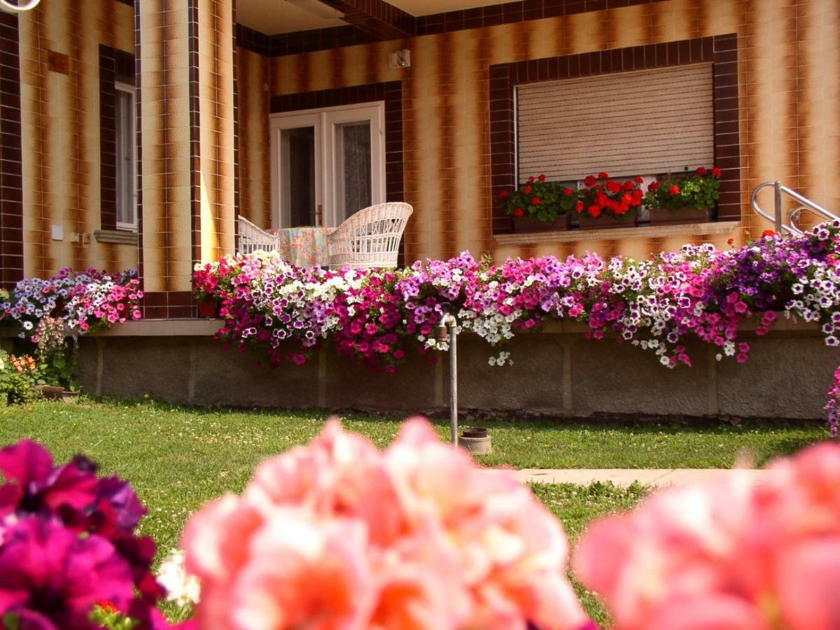 Amália Apartman Gyula Exterior foto