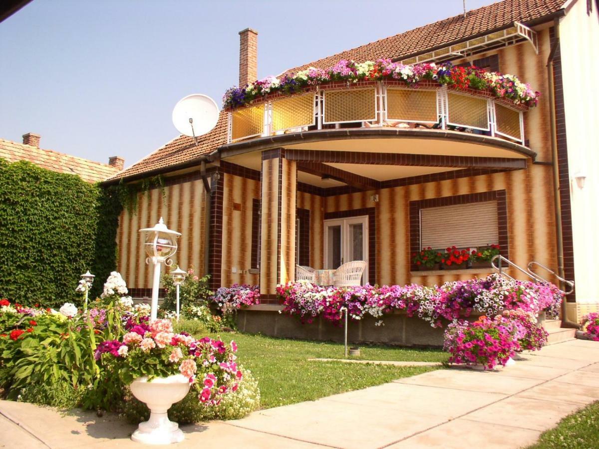 Amália Apartman Gyula Exterior foto