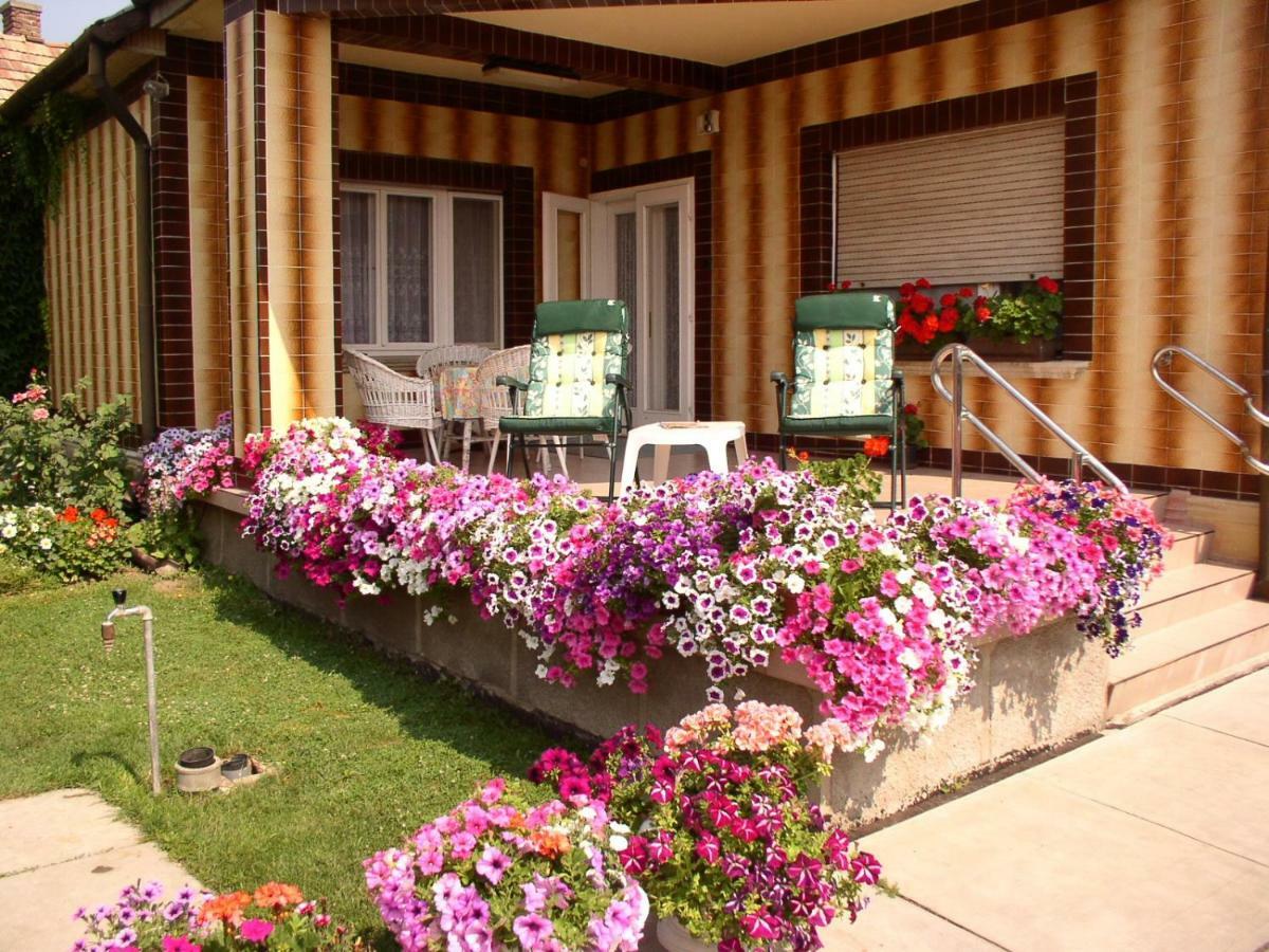 Amália Apartman Gyula Exterior foto